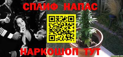 mix Сланцы
