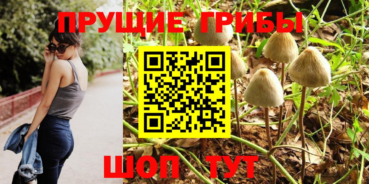 Псилоцибиновые грибы MAGIC MUSHROOMS  Вход с VPN  Темрюк 