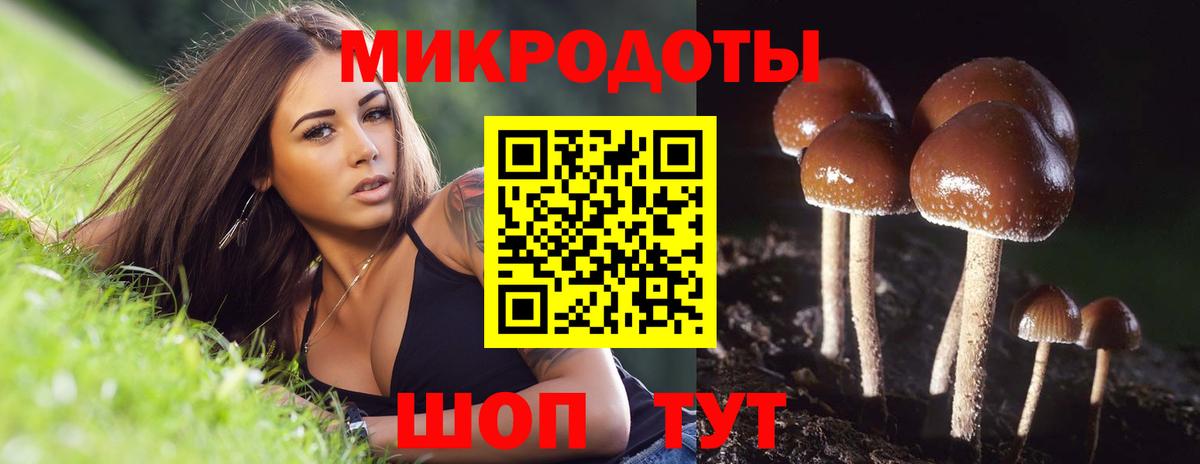 Псилоцибиновые грибы Magic Shrooms Темрюк